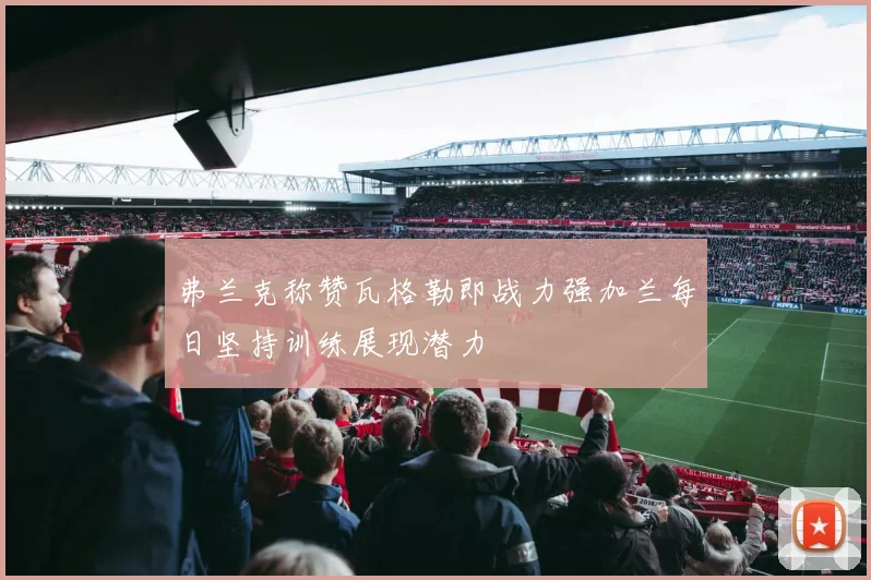 弗兰克称赞瓦格勒即战力强加兰每日坚持训练展现潜力