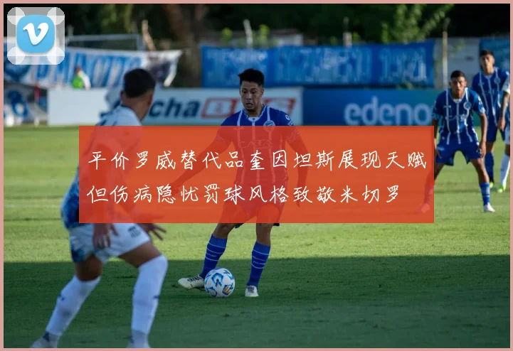 平价罗威替代品奎因坦斯展现天赋但伤病隐忧罚球风格致敬米切罗